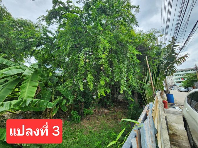 Land for sale, Bang Khun Thian