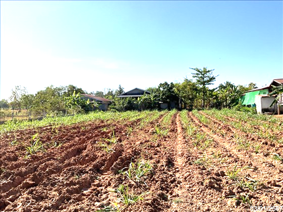 รูป ที่ดินว่างเปล่า 286 ตร.วา สว่างแดนดิน สกลนคร 715,000 - รูปที่ 8/13