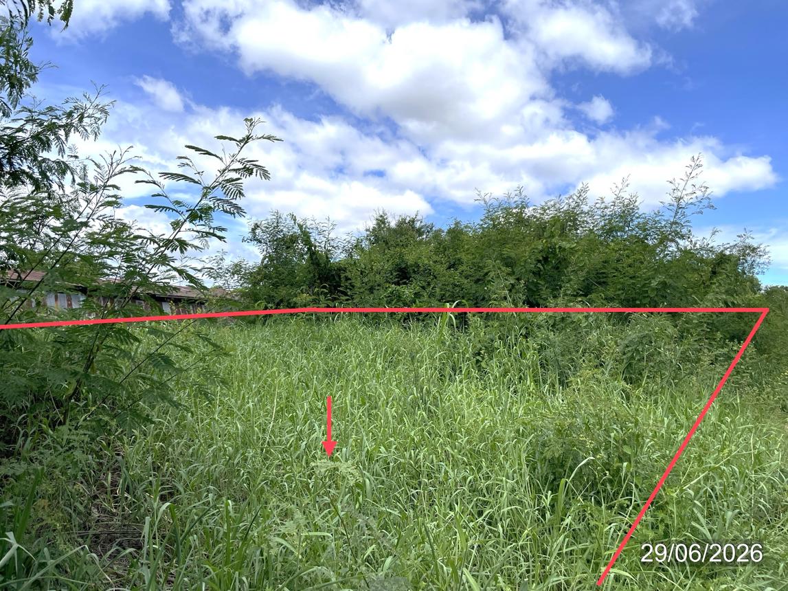 รูป ที่ดินว่างเปล่า 592.8 ตร.วา เมืองสุโขทัย สุโขทัย 16.6M - รูปที่ 13/19