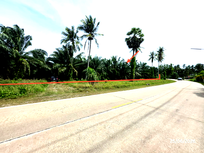 Land for sale Don Sak Surat Thani : LAND 3019 Sq.w. Don Sak Surat Thani for 4.5M