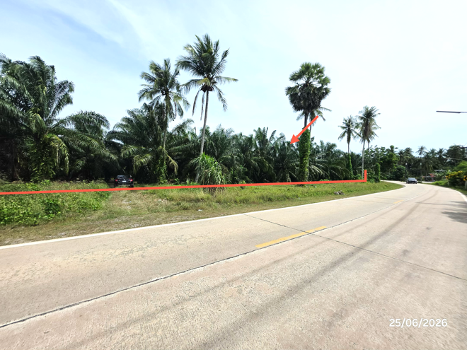 picture LAND 3019 Sq.w. Don Sak Surat Thani for 4.5M - 1/25