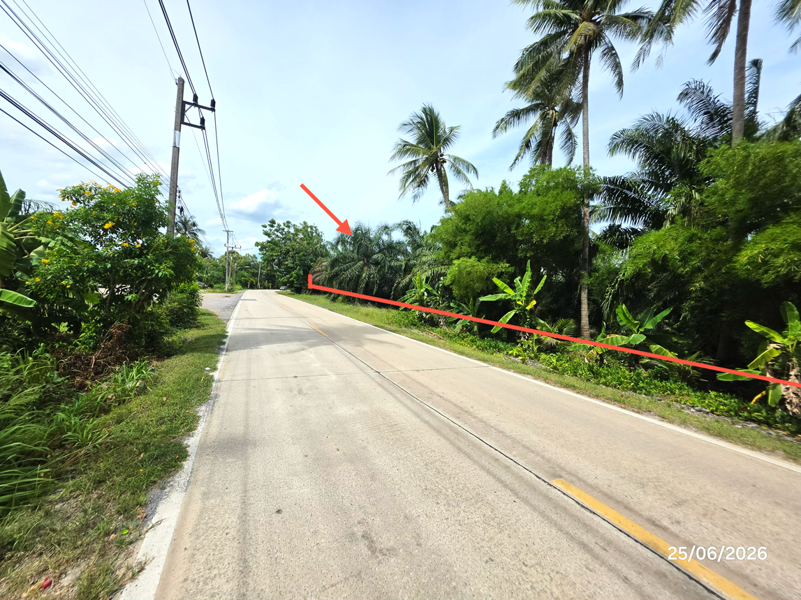 picture LAND 3019 Sq.w. Don Sak Surat Thani for 4.5M - 13/25
