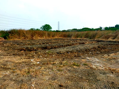 ที่ดิน นิคมบางปู : ขายทีดินจัดสรร ซอยมหาชัย ถ.บางนา-ตราด กม.10