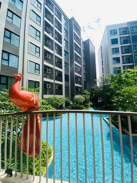 AA709470 | 1 ห้องนอน | 1 ห้องน้ำ | Kathu-Patong, Phuket | 29 ตร.ม. | 20,000 บาท/เดือน | ชั้น 8 — The Origin Kathu-Patong กรุงเทพฯ