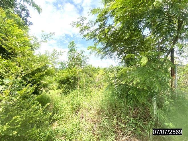 รูป ที่ดินว่างเปล่า 25603 ตร.วา เมืองหนองบัวลำภู หนองบัวลำภู 25M - รูปที่ 7/25