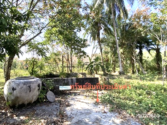 รูป บ้านเดี่ยว 150 ตร.วา กันตัง ตรัง 1.4M - รูปที่ 5/17