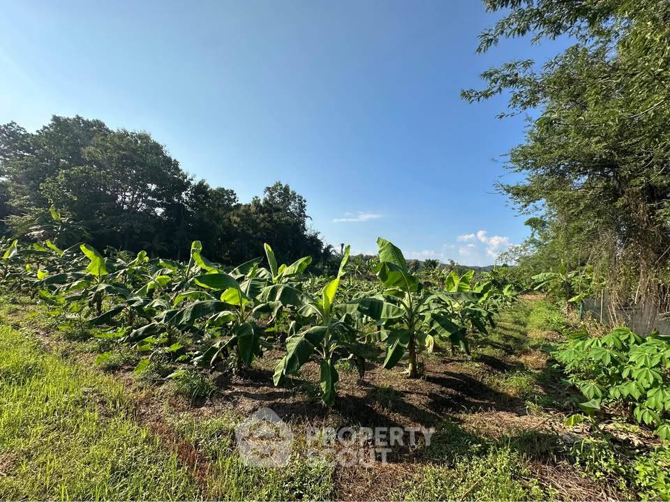 รูป ที่ดิน 93 ตร.ม. ทำเลสนามกอล์ฟเดอะรอยัลเชียงใหม่ สันทราย (ID 3329523) - รูปที่ 7/7