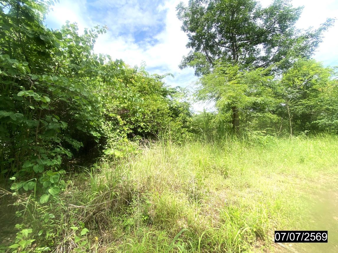 รูป ที่ดินว่างเปล่า 25603 ตร.วา เมืองหนองบัวลำภู หนองบัวลำภู 25M - รูปที่ 18/25