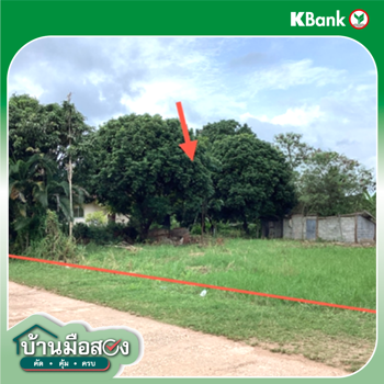รูป ที่ดินว่างเปล่า 286 ตร.วา ผาขาว เลย 344,000 - รูปที่ 9/11