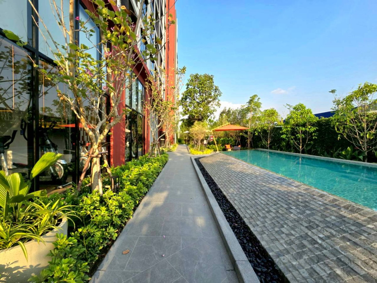 รูป Dcondo Vivid Rangsit คอนโดพร้อมอยู่ตรงข้าม ม.กรุงเทพ! ข้ามสะพานลอยถึง ม.เลย หรือนั่ง Shuttle Bus สะดวก เริ่ม 1.79 ลบ. โทร 065-4496399 Line: @wsrcondo - รูปที่ 4/7