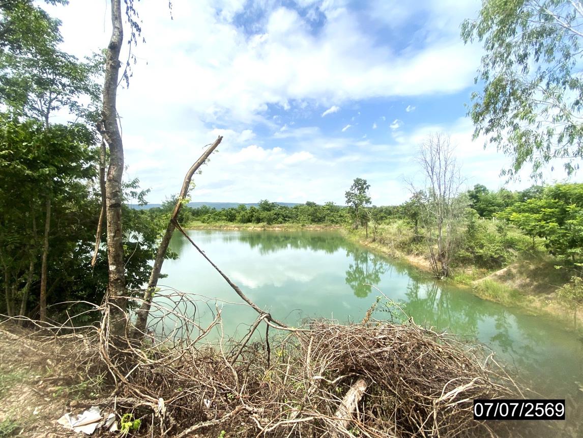 รูป ที่ดินว่างเปล่า 25603 ตร.วา เมืองหนองบัวลำภู หนองบัวลำภู 25M - รูปที่ 21/25