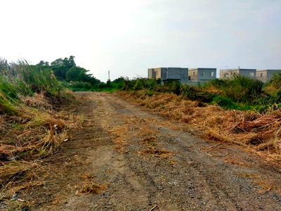 ที่ดิน นิคมบางปู : ขายที่ดิน 97 ตร.ว. ซอยมหาชัย ถ.บางนา-ตราด มี 2 แปลง แบ่งแปลงแยกขาย