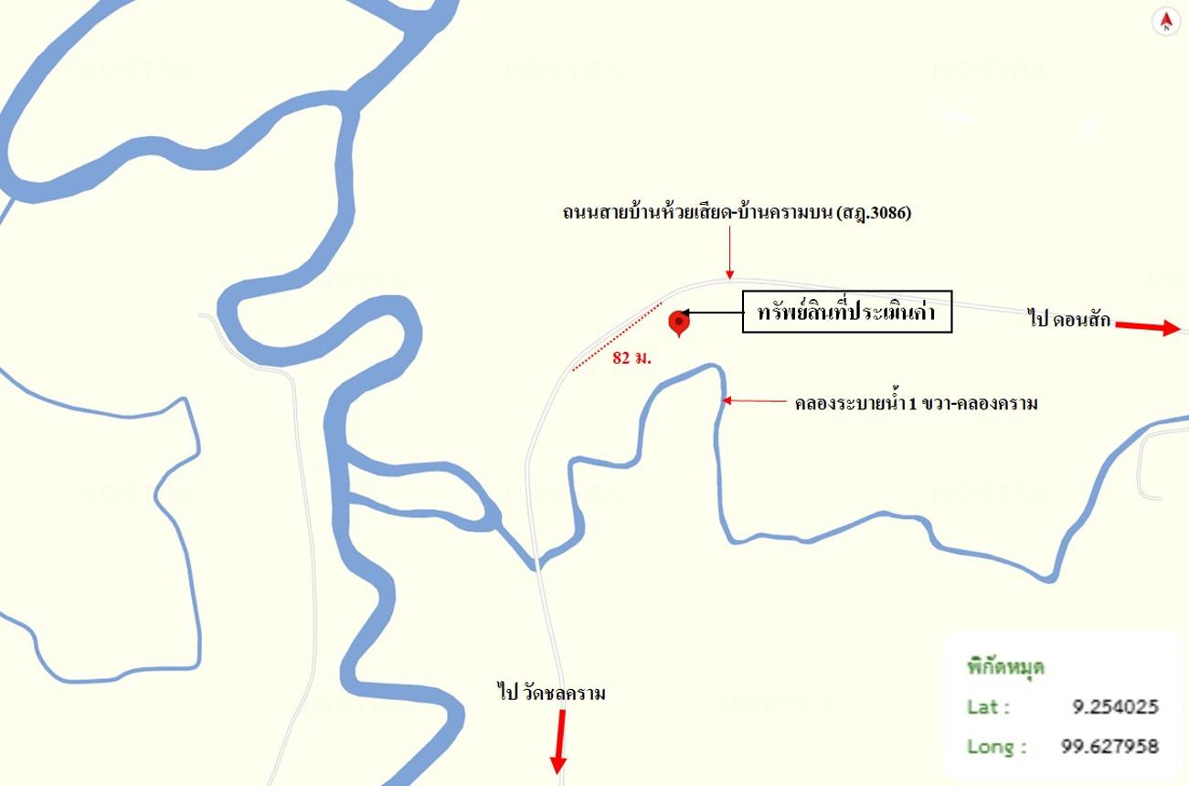 picture LAND 3019 Sq.w. Don Sak Surat Thani for 4.5M - 24/25