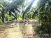 listing thumbnail image 15