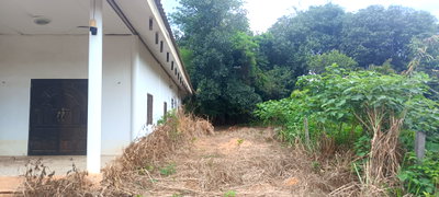 ขายที่ดิน : ขายที่ดินพร้อมบ้าน หมู่บ้านทองหลาง ตำบล คอกควาย อำเภอ บ้านไร่ จังหวัด อุทัยธานี