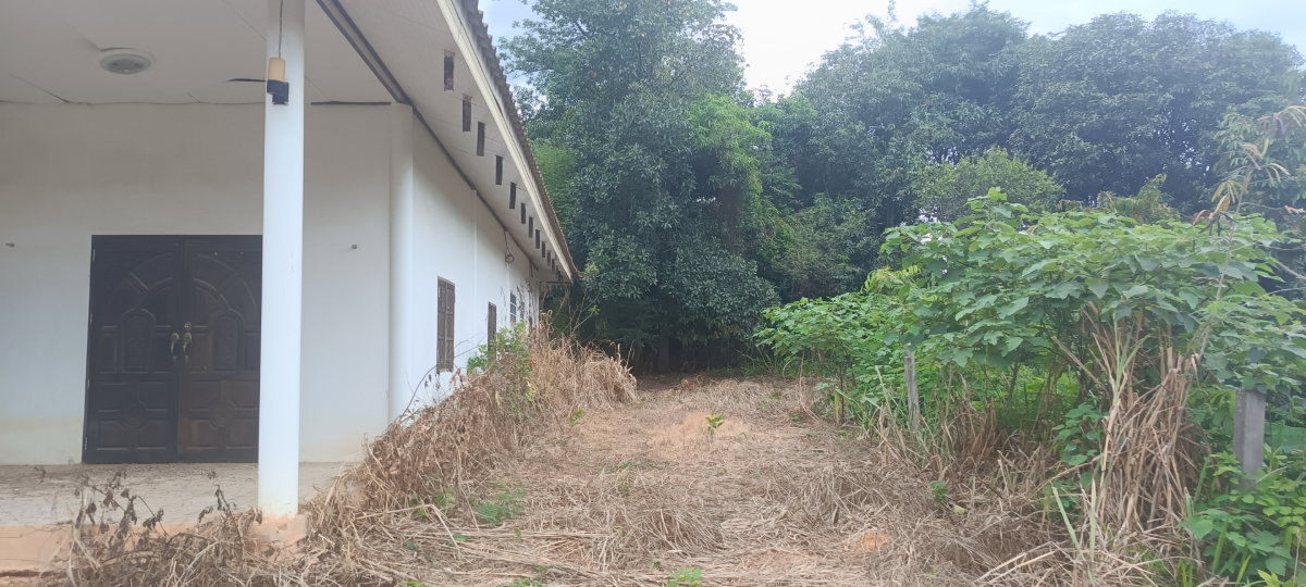 รูป ขายที่ดินพร้อมบ้าน หมู่บ้านทองหลาง ตำบล คอกควาย อำเภอ บ้านไร่ จังหวัด อุทัยธานี - รูปที่ 1/3