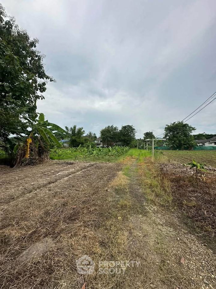 รูป ที่ดิน 93 ตร.ม. ทำเลสนามกอล์ฟเดอะรอยัลเชียงใหม่ สันทราย (ID 3329523) - รูปที่ 1/7