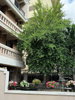 listing thumbnail image 5