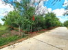 listing thumbnail image 12