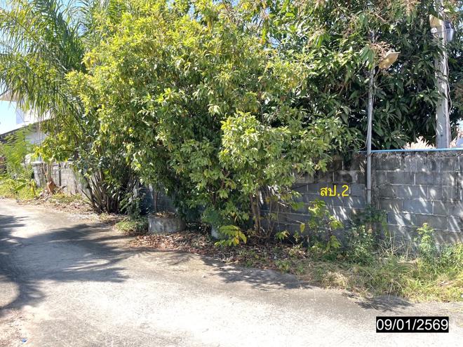 รูป บ้านเดี่ยว 190.1 ตร.วา เมืองมหาสารคาม มหาสารคาม 4.1M - รูปที่ 6/15