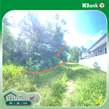picture LAND 149 Sq.w. Bang Klam Songkhla for 1.5M - 13/15