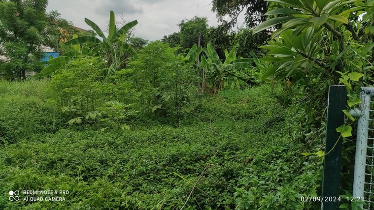 Land for sale, Prawet