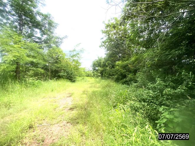 รูป ที่ดินว่างเปล่า 25603 ตร.วา เมืองหนองบัวลำภู หนองบัวลำภู 25M - รูปที่ 10/25