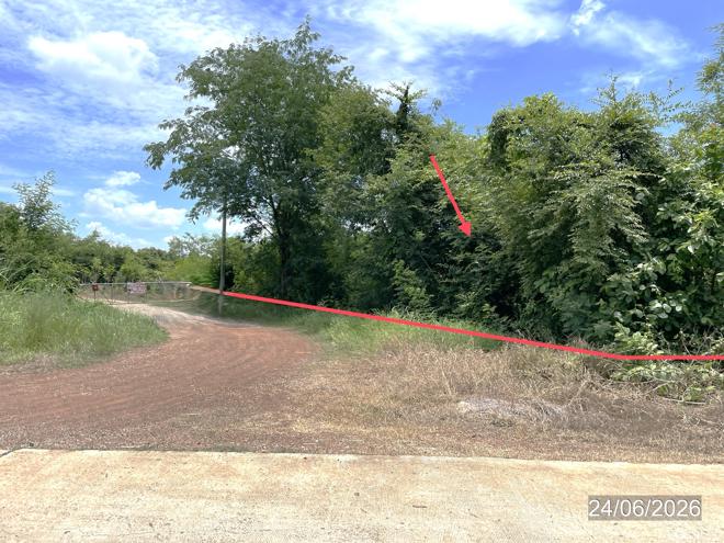 picture LAND 14890 Sq.w. Nong Phai Phetchabun for 9.8M - 11/31
