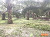 listing thumbnail image 18