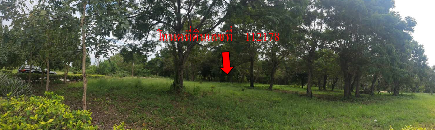 picture LAND 398.3 Sq.w. Muang Nakhon Pathom Nakhon Pathom for 2.9M - 11/14