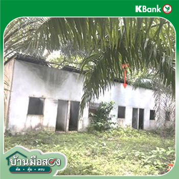 picture HOME 1074 Sq.w. Chawang Nakhon Sri Thammarat for 14.5M - 23/25