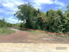 listing thumbnail image 23