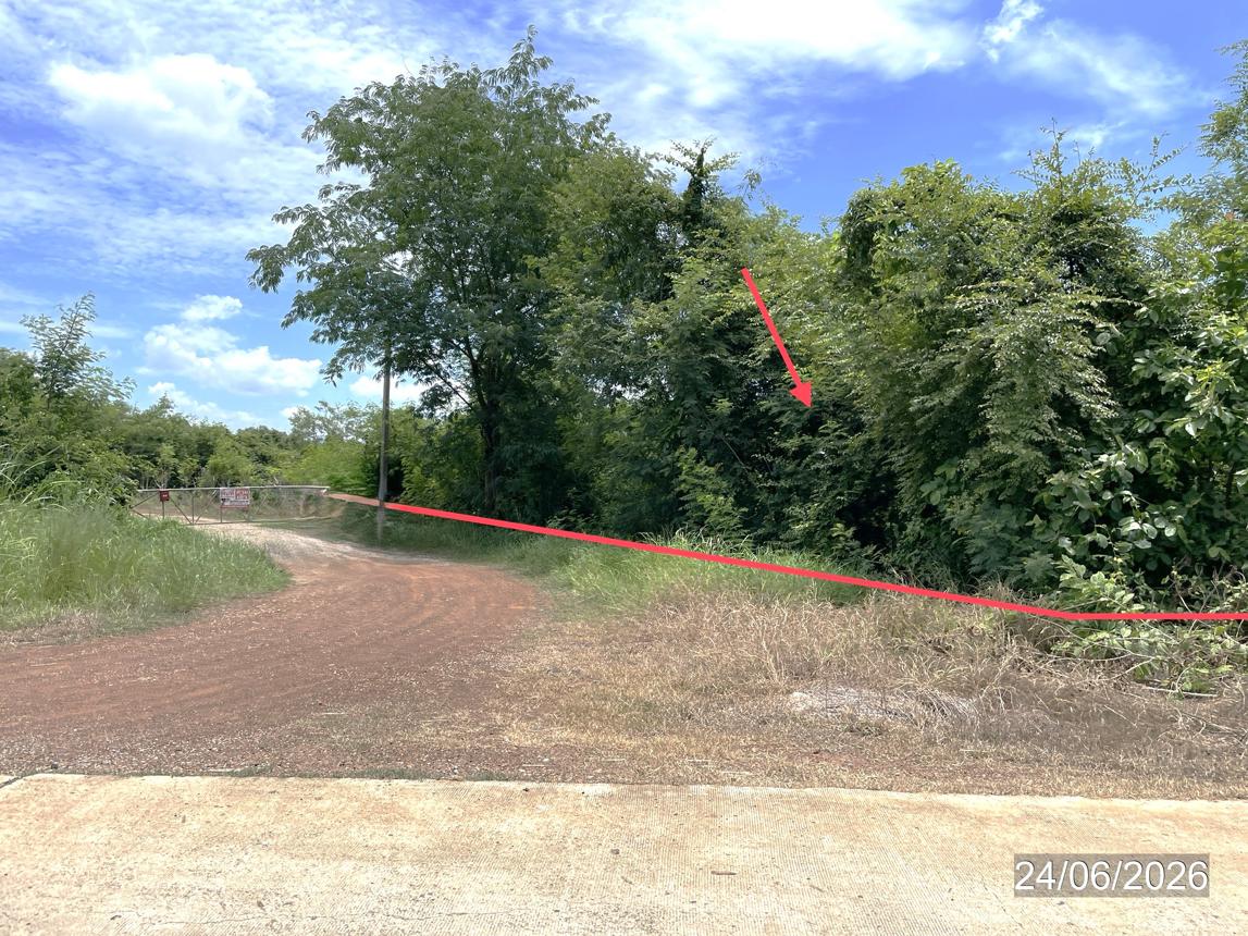 picture LAND 14890 Sq.w. Nong Phai Phetchabun for 9.8M - 24/31