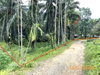 listing thumbnail image 19