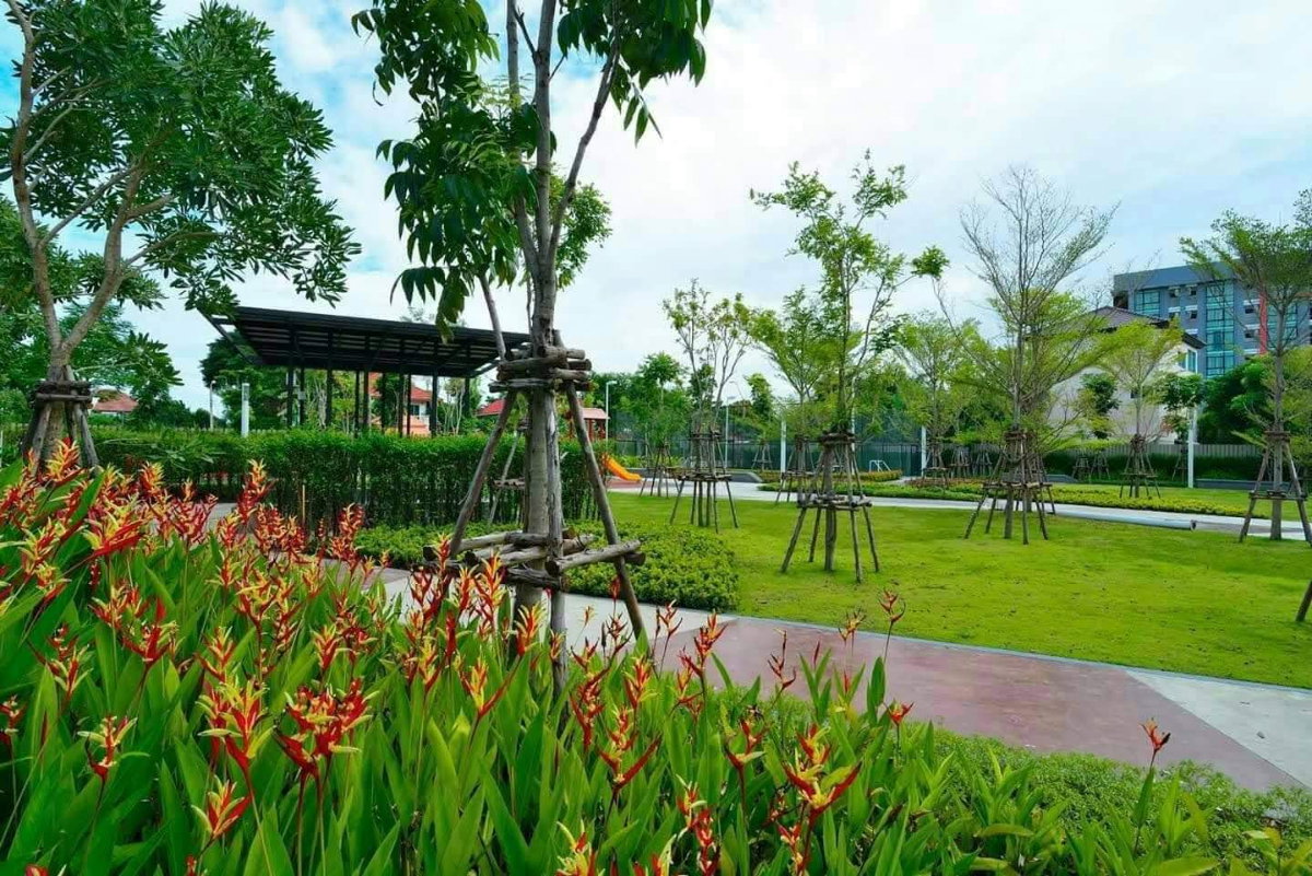 รูป ขายคอนโดลุมพินีวิลล์ ประชาชื่น พงษ์เพชร2 - รูปที่ 4/5