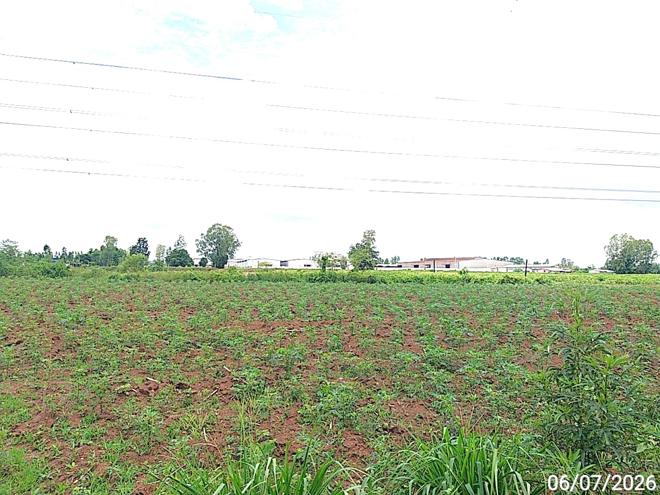 picture LAND 4632 Sq.w. Sri Maha Pho Prachinburi for 811,000 - 6/17