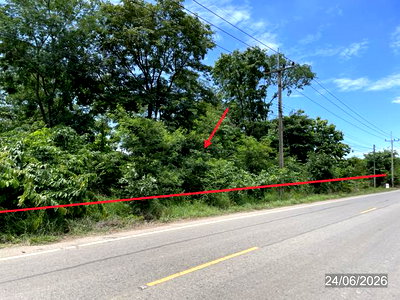Land for sale Nong Phai Phetchabun : LAND 14890 Sq.w. Nong Phai Phetchabun for 9.8M