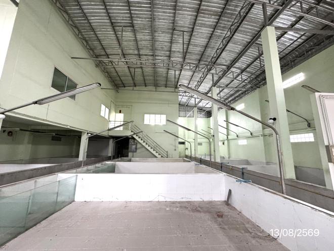 picture HOME 209 Sq.w. Bang Khae Bangkok for 11.3M - 7/45
