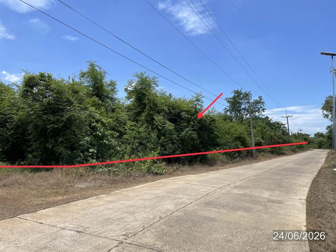 picture LAND 14890 Sq.w. Nong Phai Phetchabun for 9.8M - 9/31