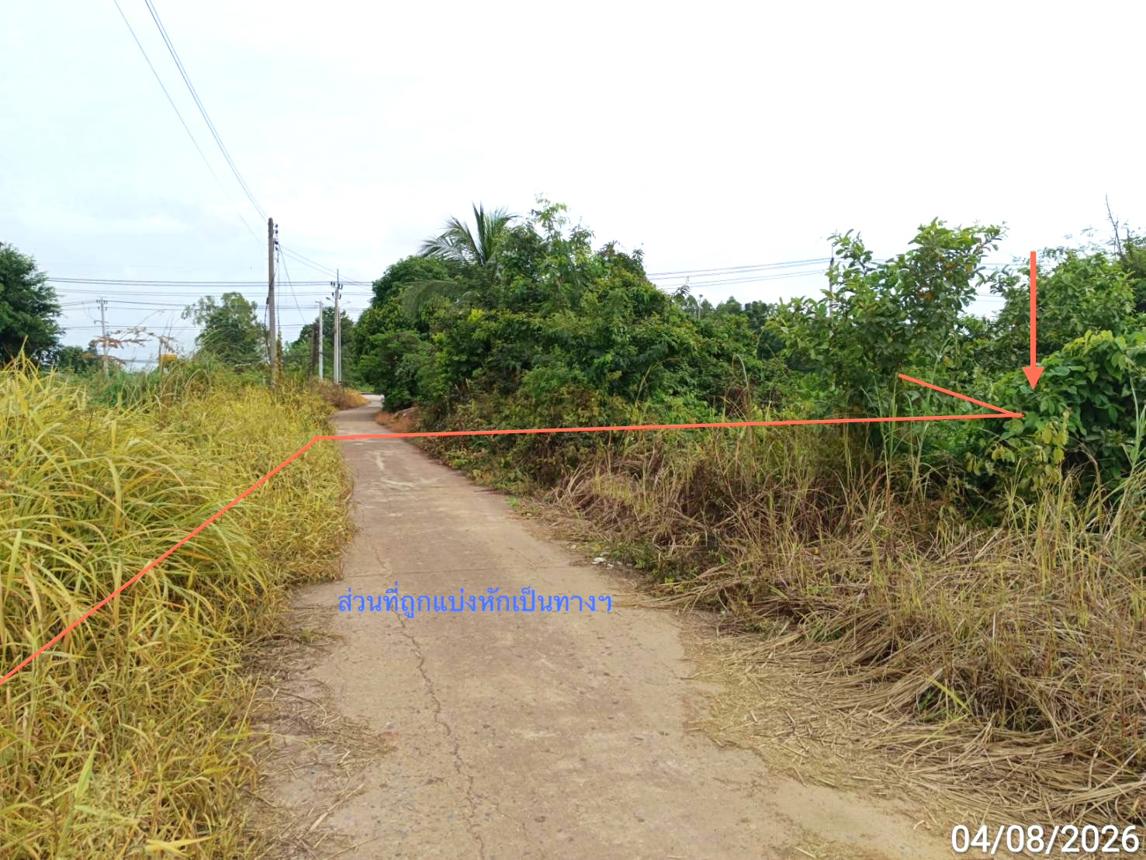 picture LAND 907 Sq.w. Bang Krathum Phitsanulok for 4.5M - 11/21