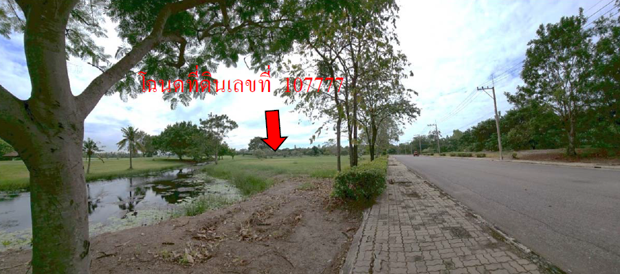 รูป ที่ดินเปล่า 316.3 ตร.วา อำเภอเมืองนครปฐม จังหวัดนครปฐม 3.3M - รูปที่ 10/13