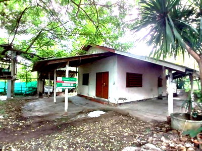 Houses for sale : HOME 126 Sq.w. Hang Chat Lamphang for 326,000