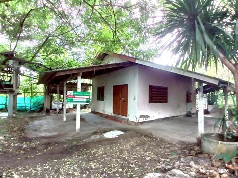 picture HOME 126 Sq.w. Hang Chat Lamphang for 438,000 - 22/25