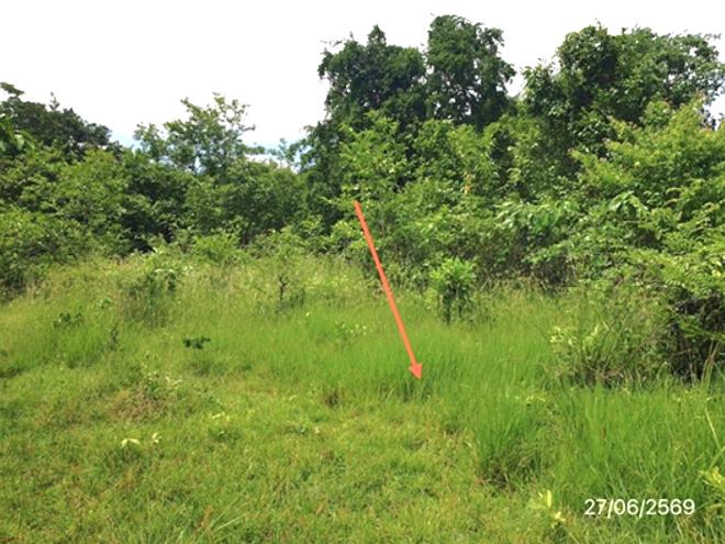 picture LAND 300 Sq.w. Mae Tha Lamphang for 560,000 - 7/25
