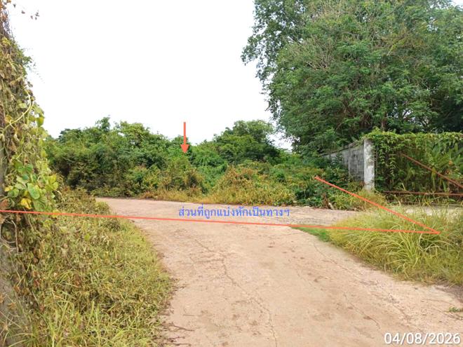 picture LAND 907 Sq.w. Bang Krathum Phitsanulok for 4.5M - 5/21