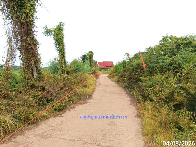 picture LAND 907 Sq.w. Bang Krathum Phitsanulok for 4.5M - 4/21