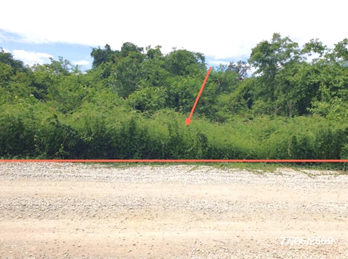 picture LAND 300 Sq.w. Mae Tha Lamphang for 560,000 - 14/25