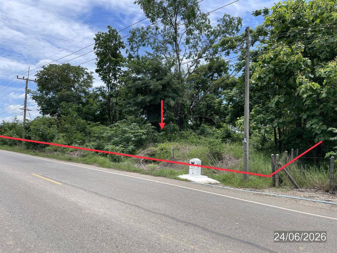 picture LAND 14890 Sq.w. Nong Phai Phetchabun for 9.8M - 16/31