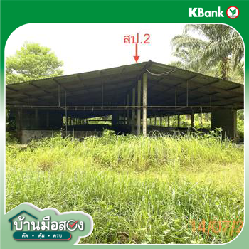 picture LAND 2165 Sq.w. Kapong Phangnga for 3.2M - 23/25