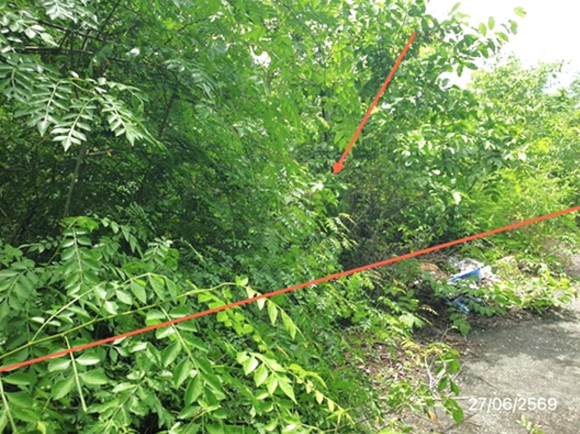 picture LAND 300 Sq.w. Mae Tha Lamphang for 560,000 - 18/25